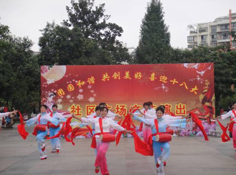 随州舞蹈团:舞动青春的韵律与热情